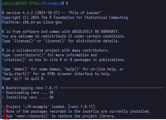 renv warns packages not installed