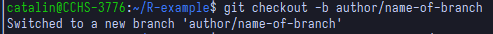 Using branch creation command