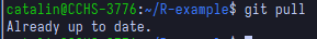 Using git pull outputs 'Already up to date'