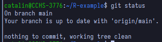 Using git status